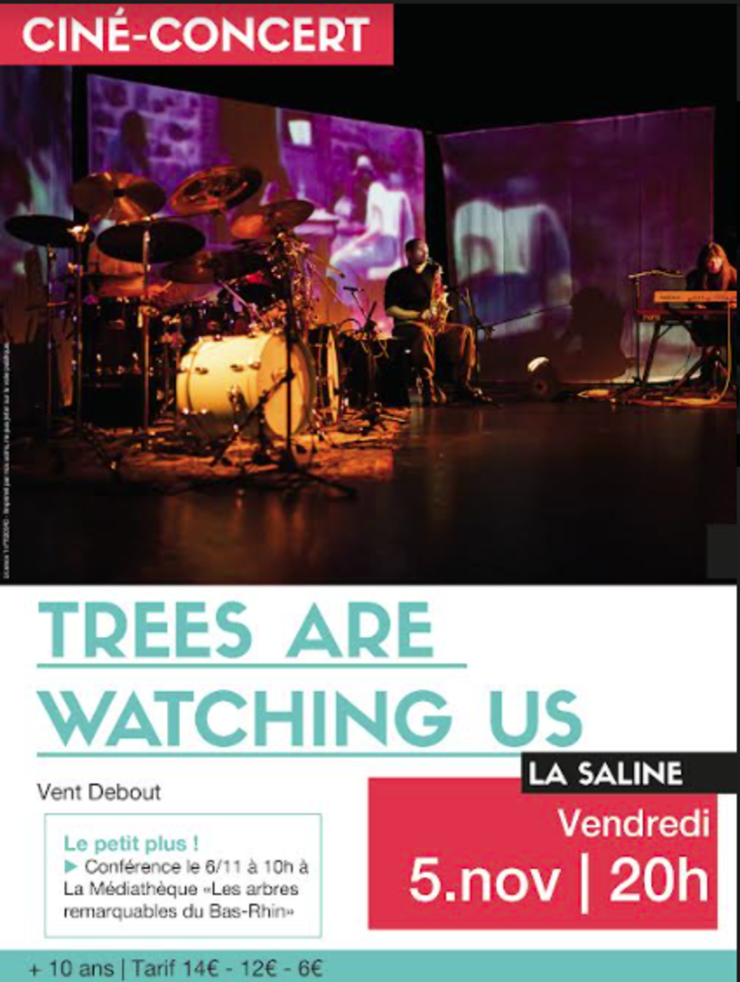 Trees are watching us